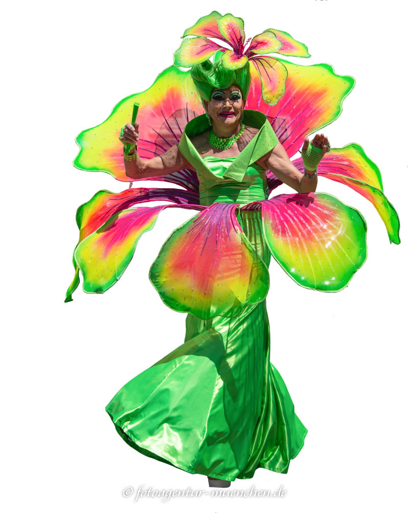 CSD 2022