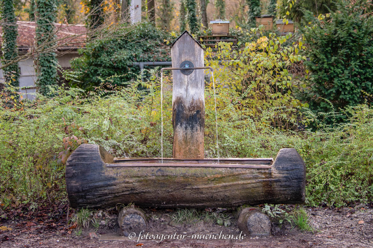 Holztrogbrunnen, Bertschbrunnen
