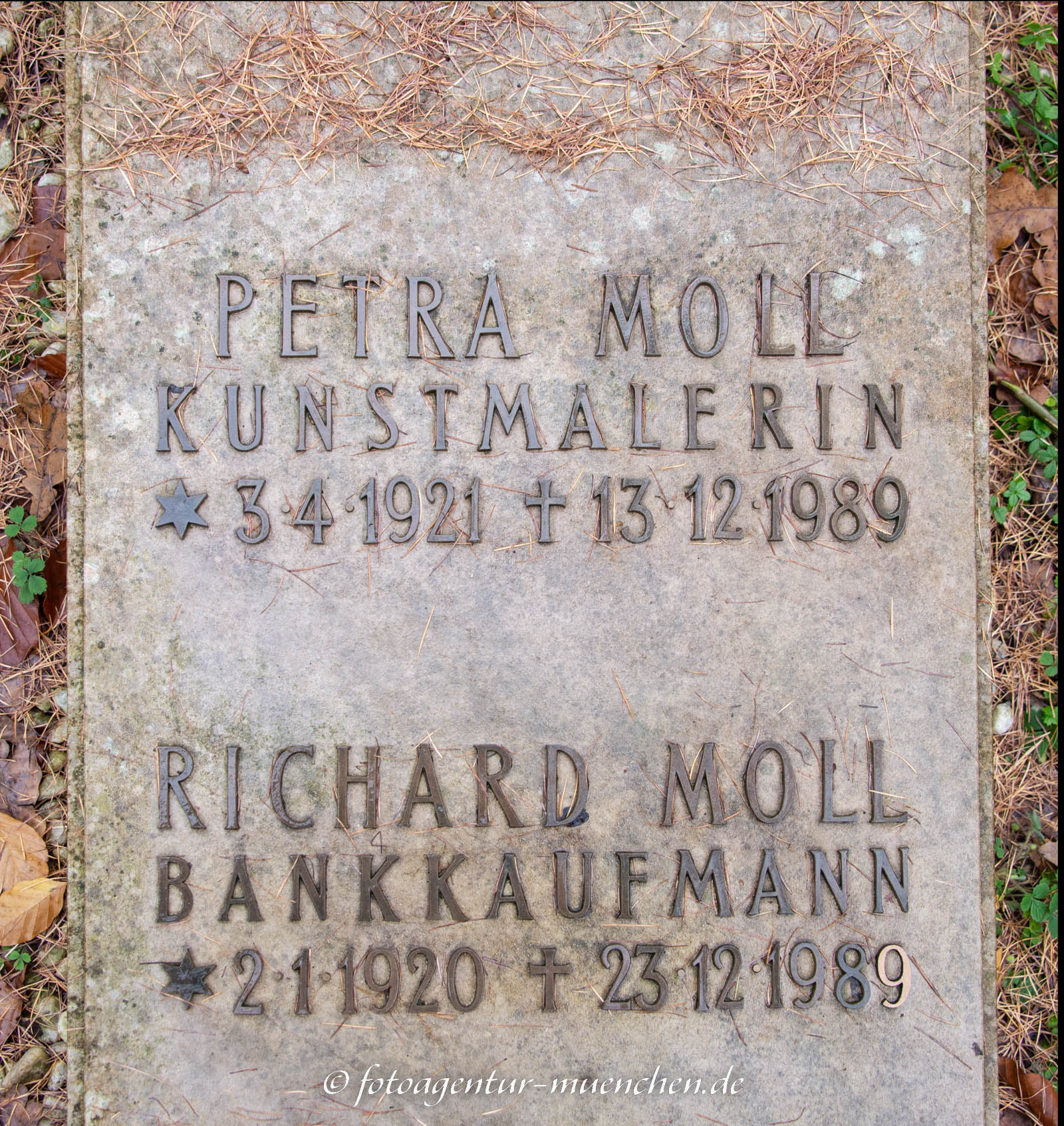 Geab - petra Moll