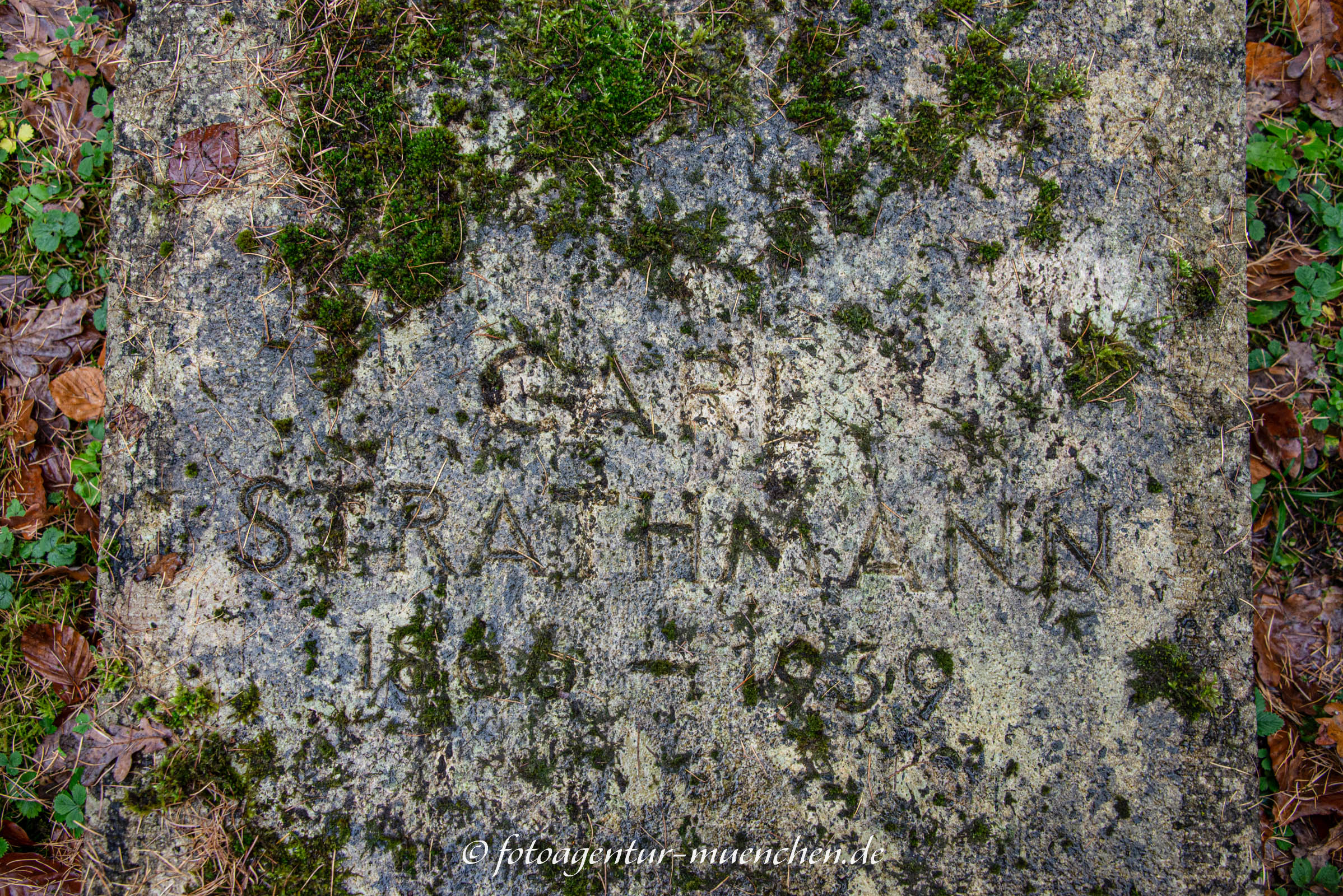 Grab - Carl Strathmann