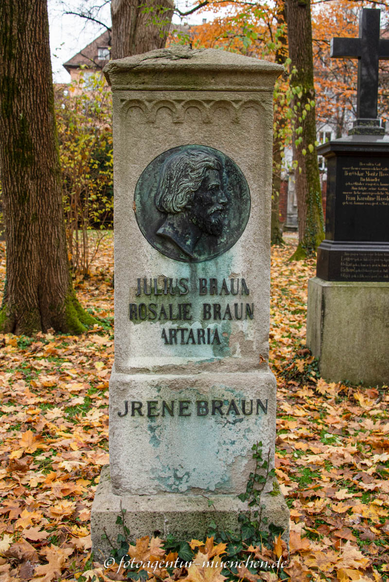 Braun Julius