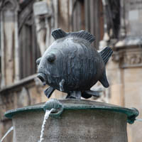  - Fischbrunnen (Fisch)