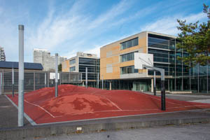 Inges Idee - Basketballfeld, 3D²
