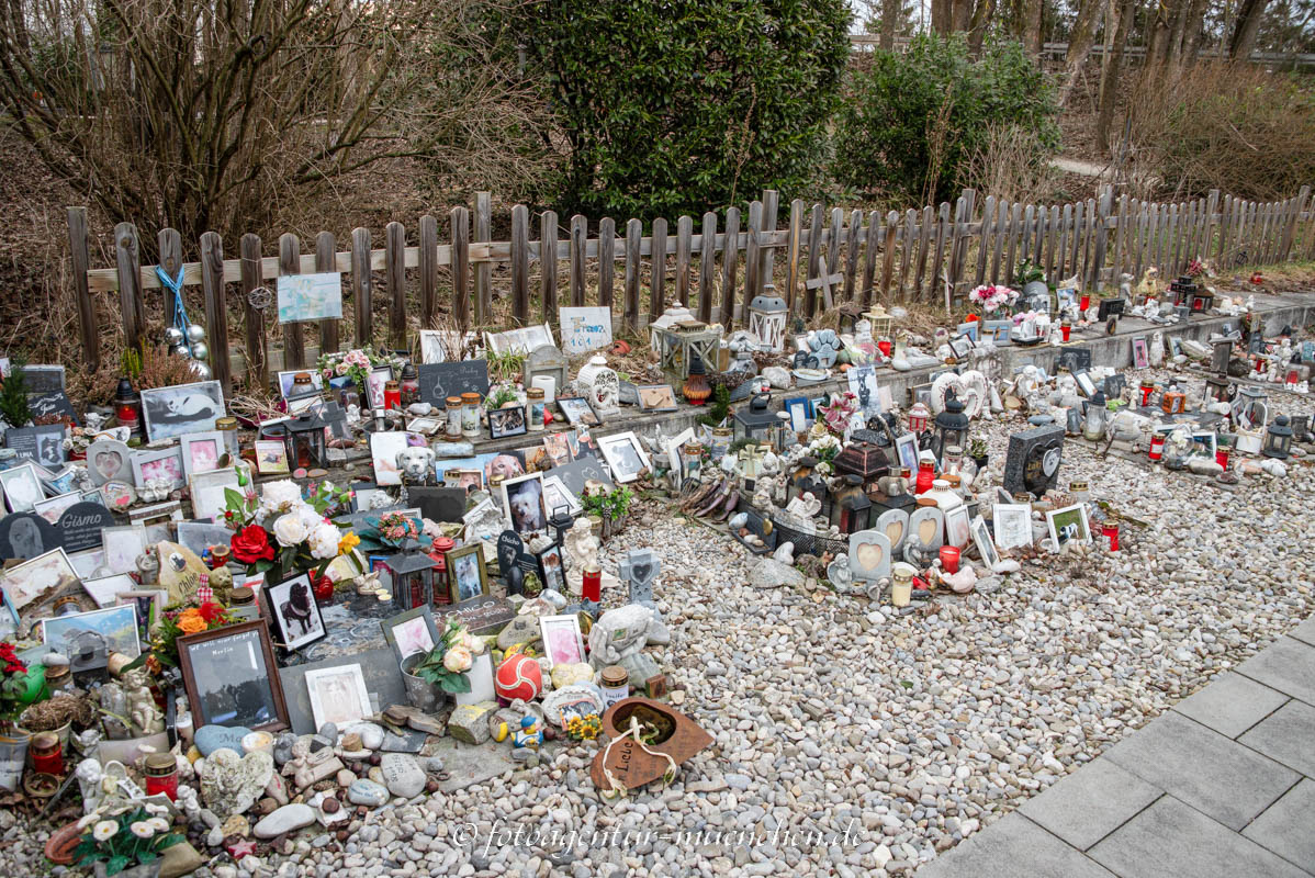 Tierfriedhof