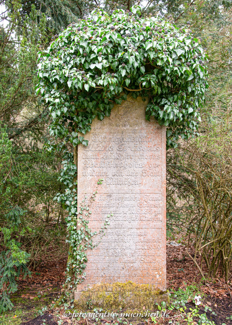 Grässel Hans
