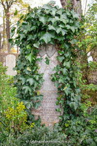 Grabstätte – Alfred Dornauer