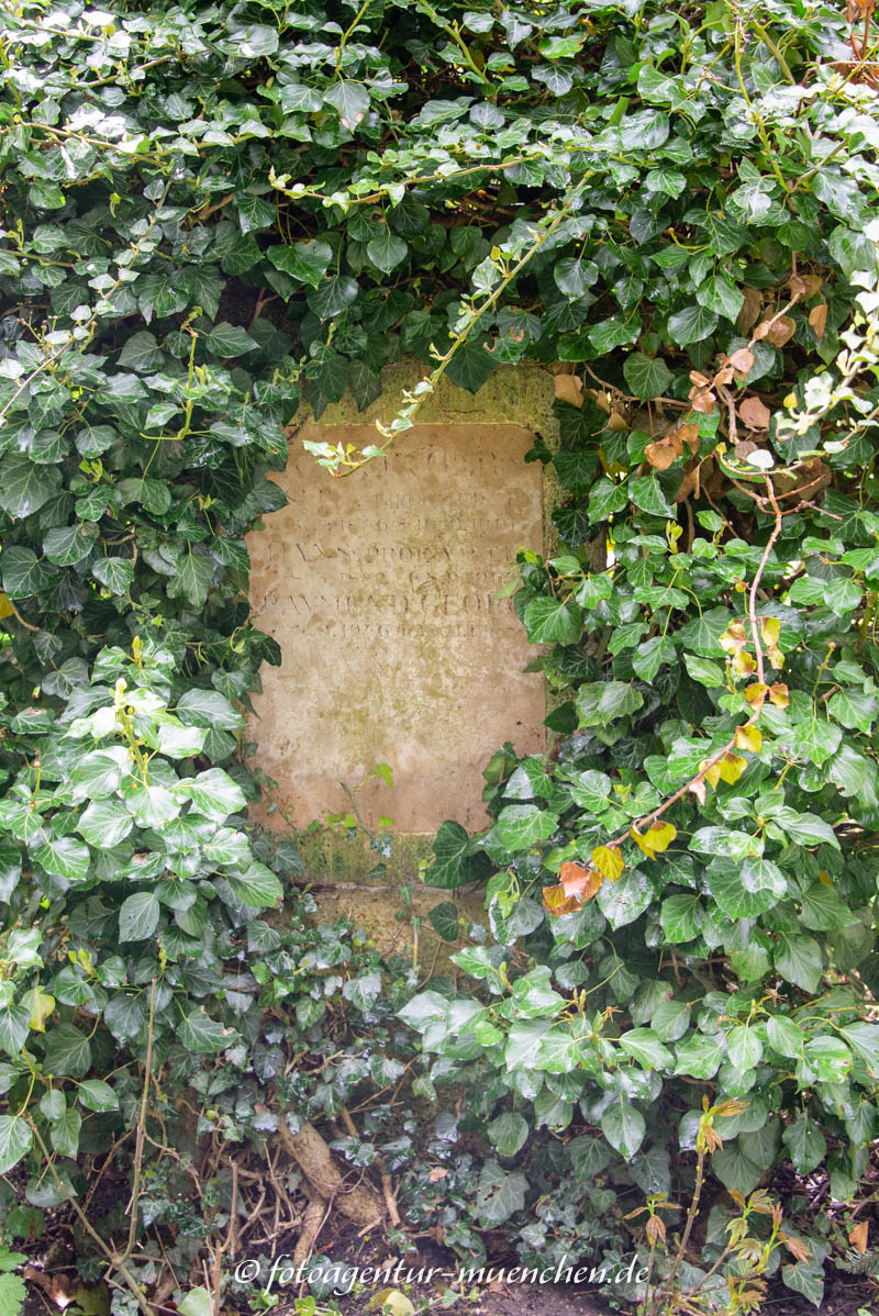 Karlinger Hans