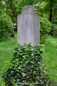 Theodor Horschelt