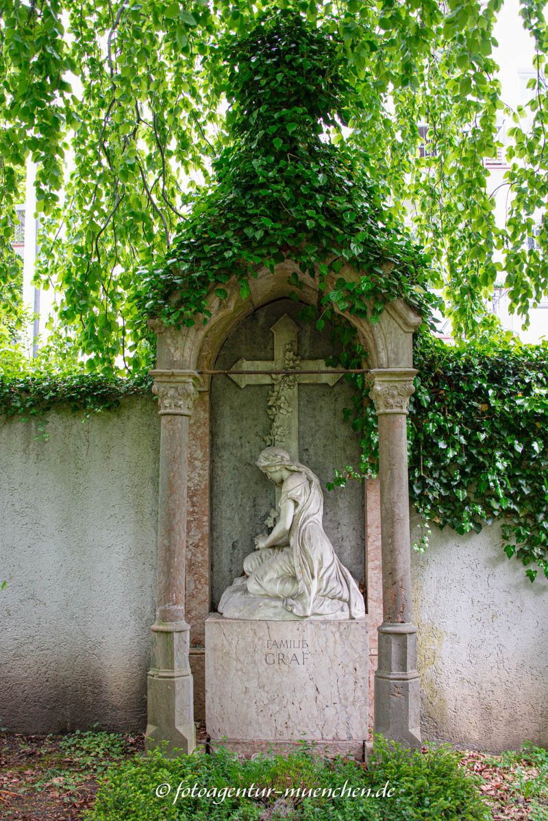 Graf Friedrich