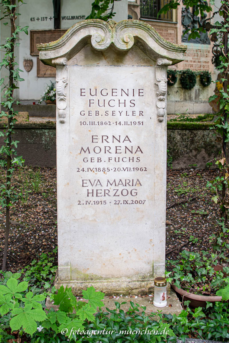 Morena Erna