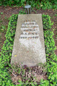 Erich Hahne