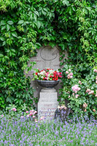 Carl von Marr
