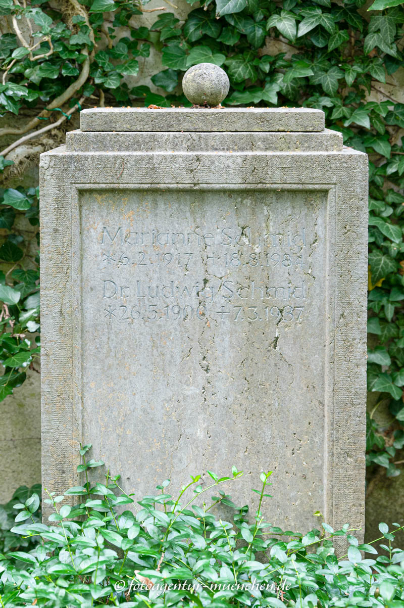 Schmid Ludwig