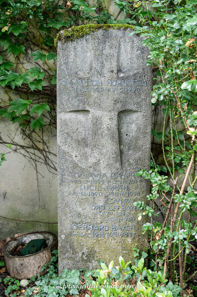 Bayer Josef