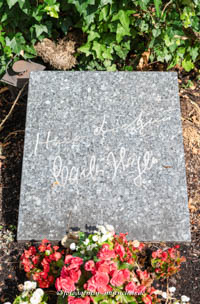 Hans-Wilhelm Lietzau