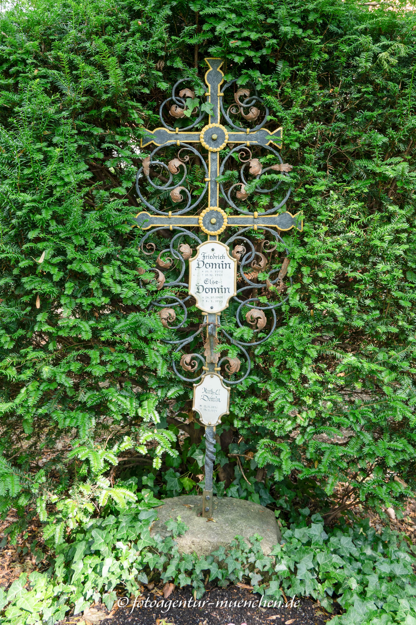 Frab - Friedrich Domin