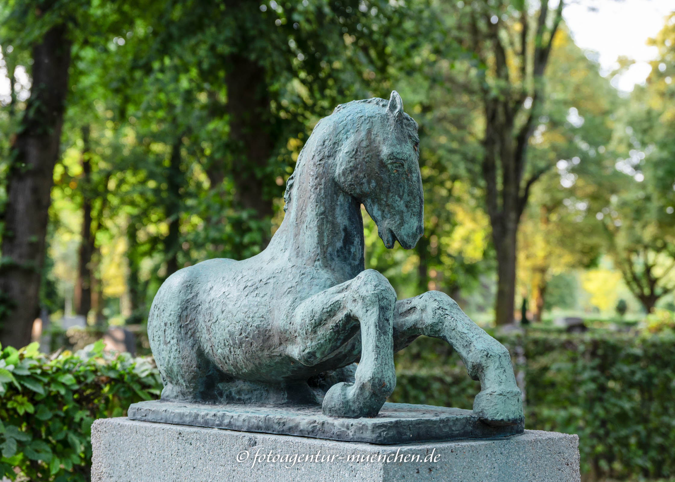 Fohlen (Brunnen)