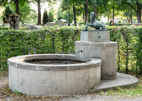 Fohlen-Brunnen