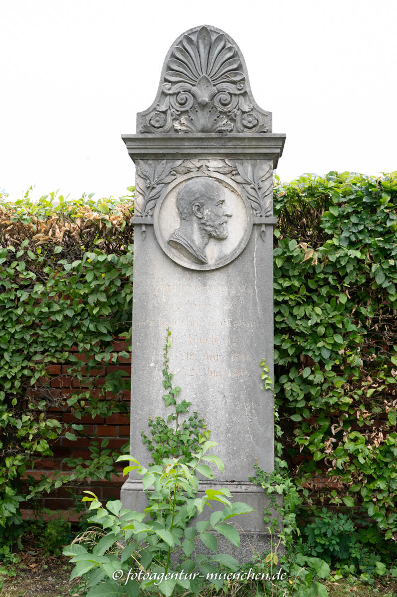 Wittmann Wilhelm