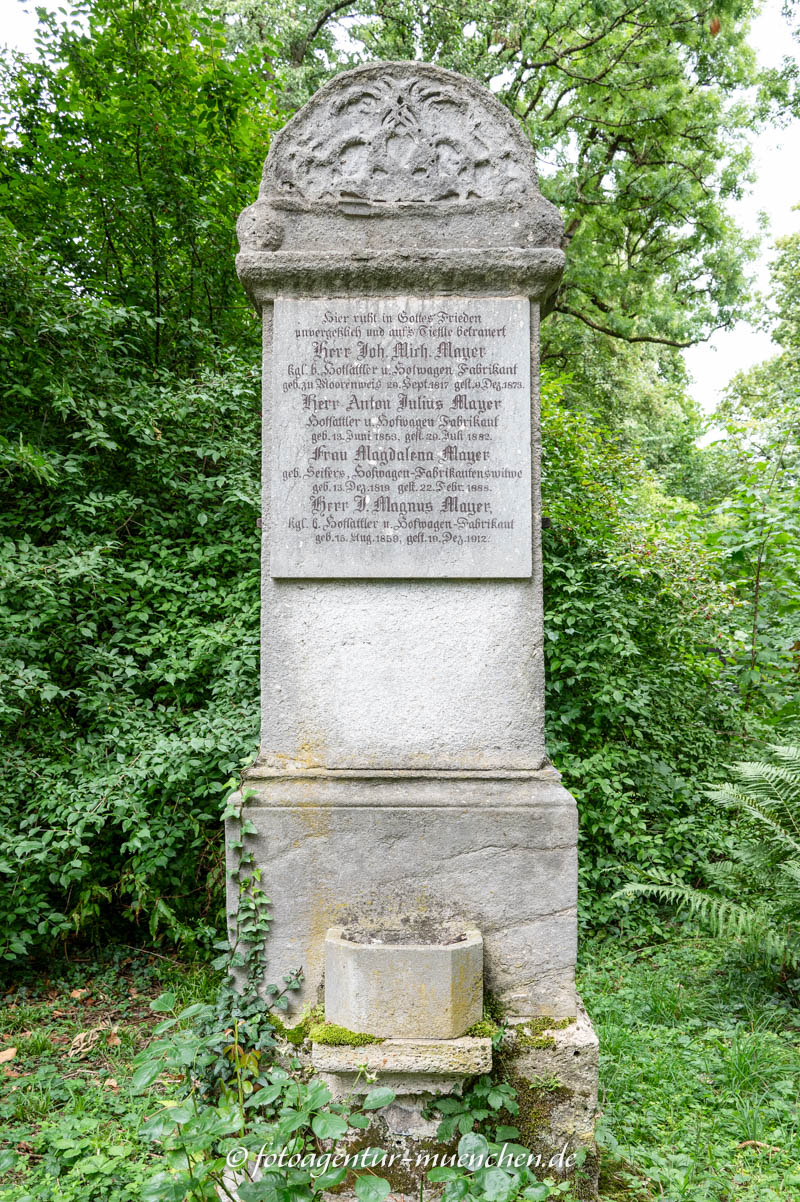 Mayer Magdalena