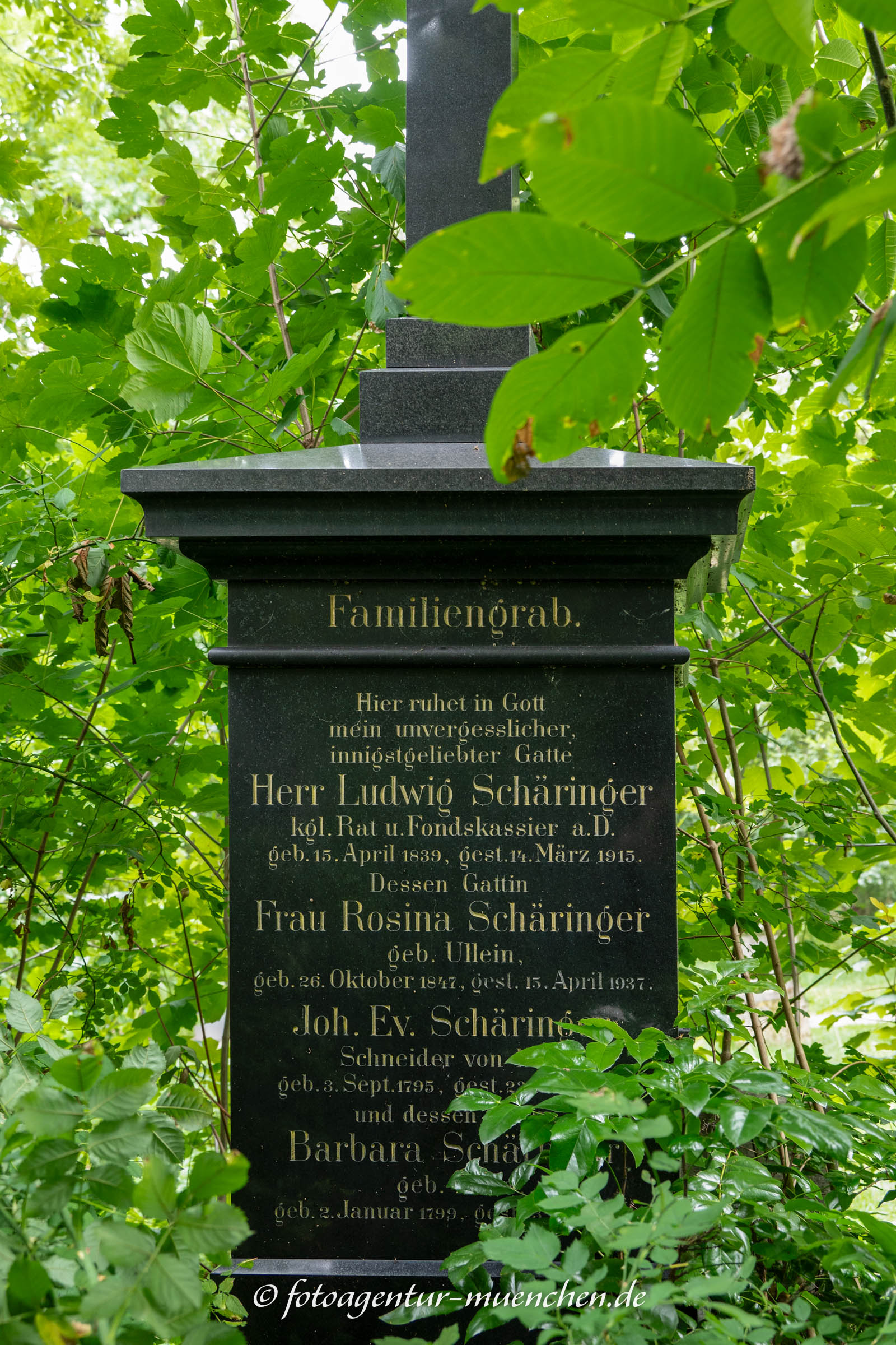 Grab - Ludwig Schäringer