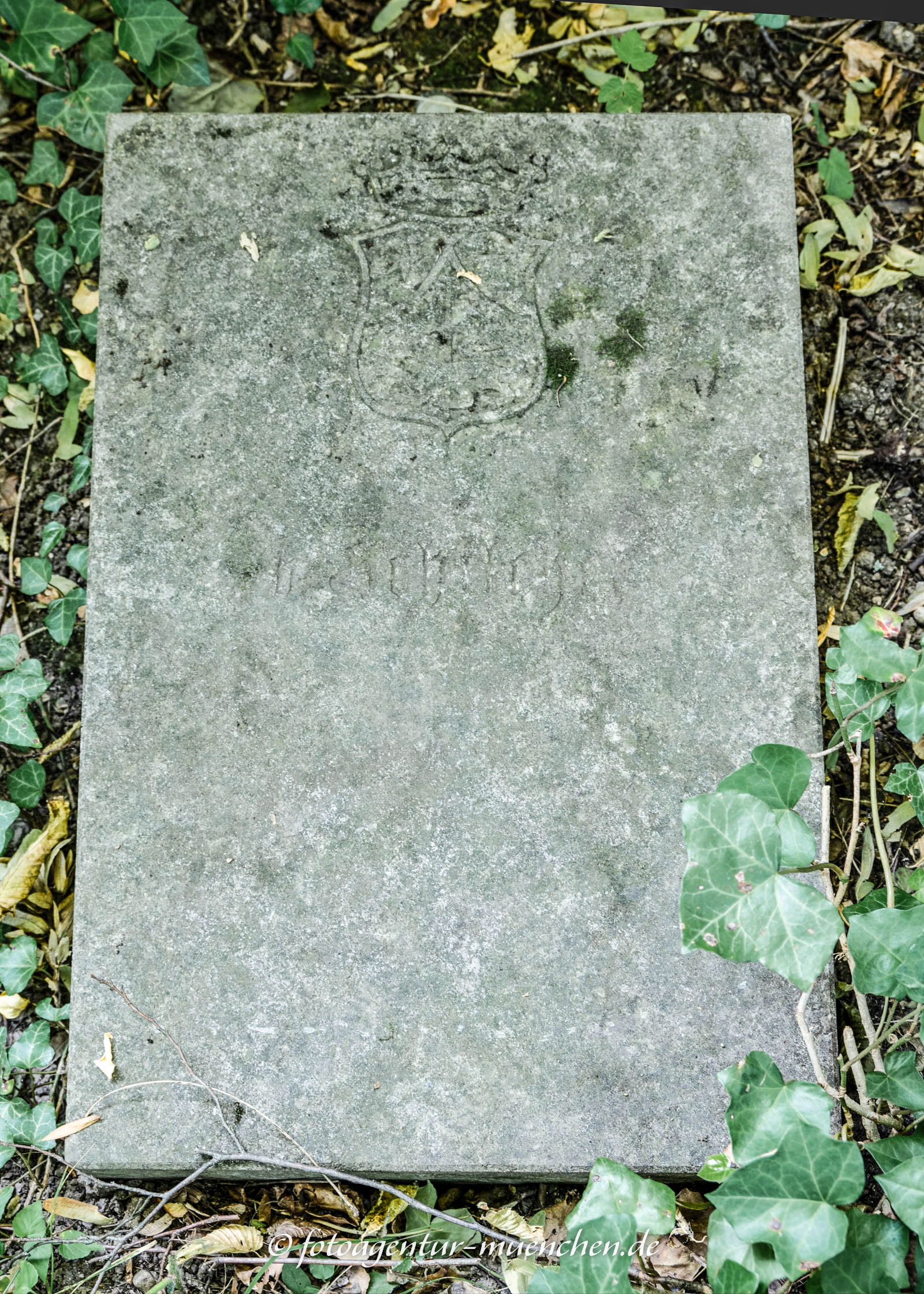 Franz Ritter von Schilcher