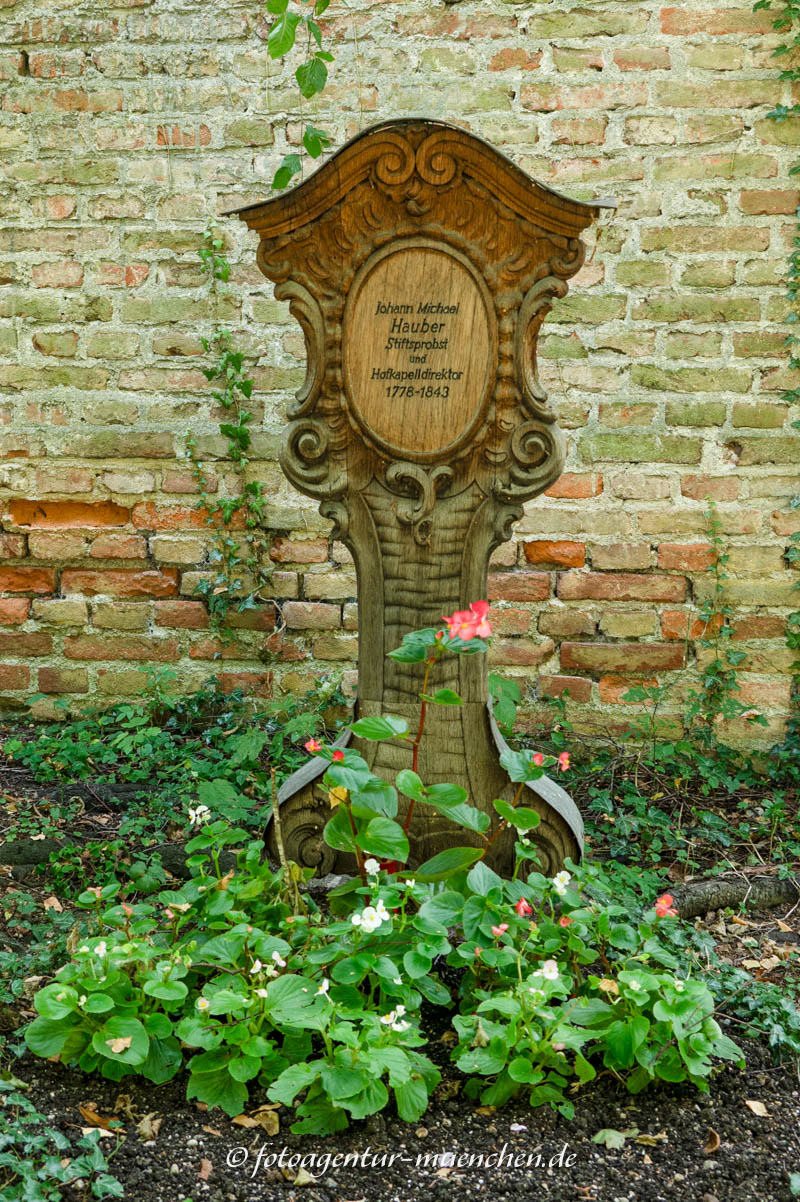 Hauber Johann