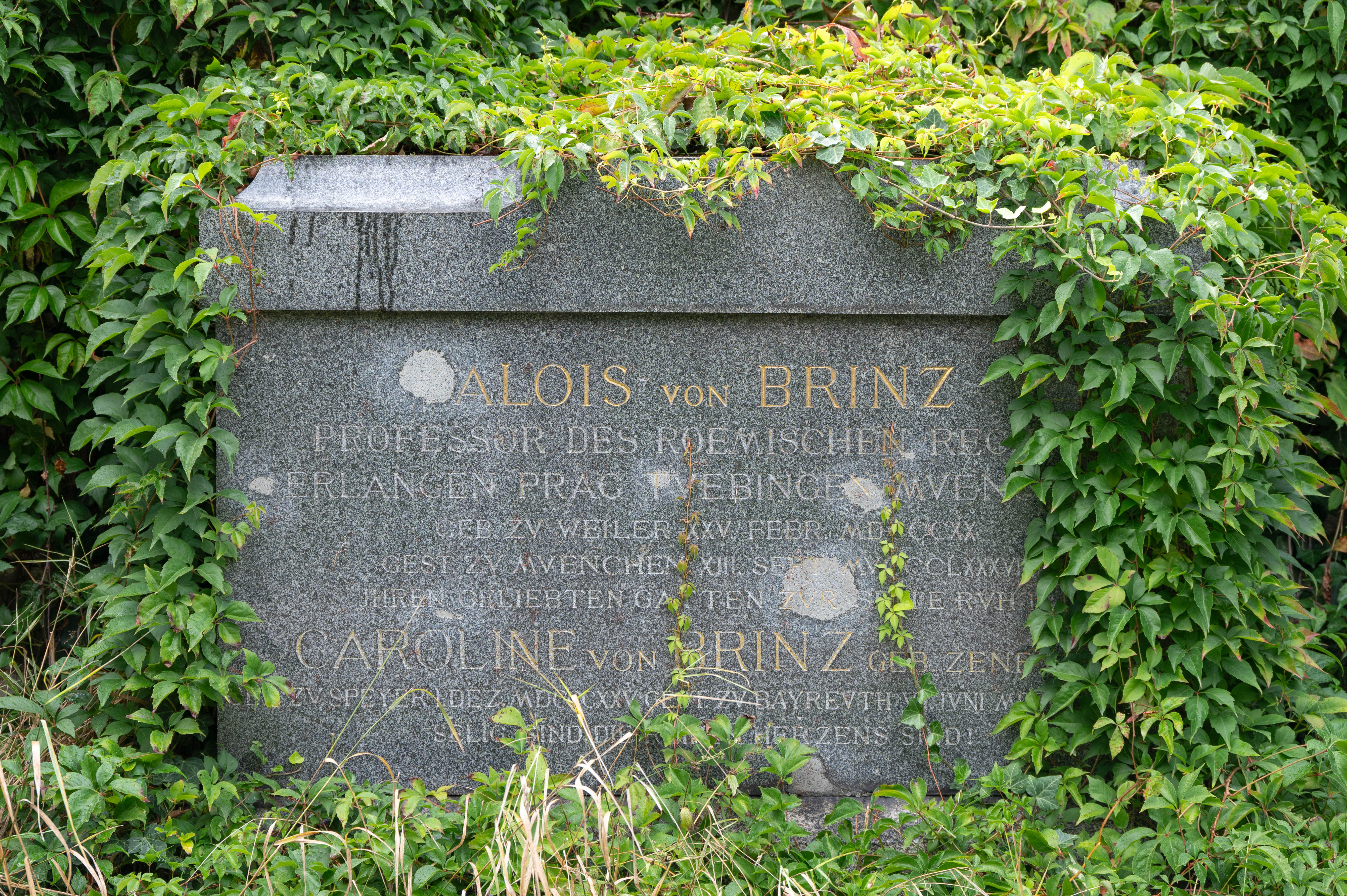 Alois von Brinz