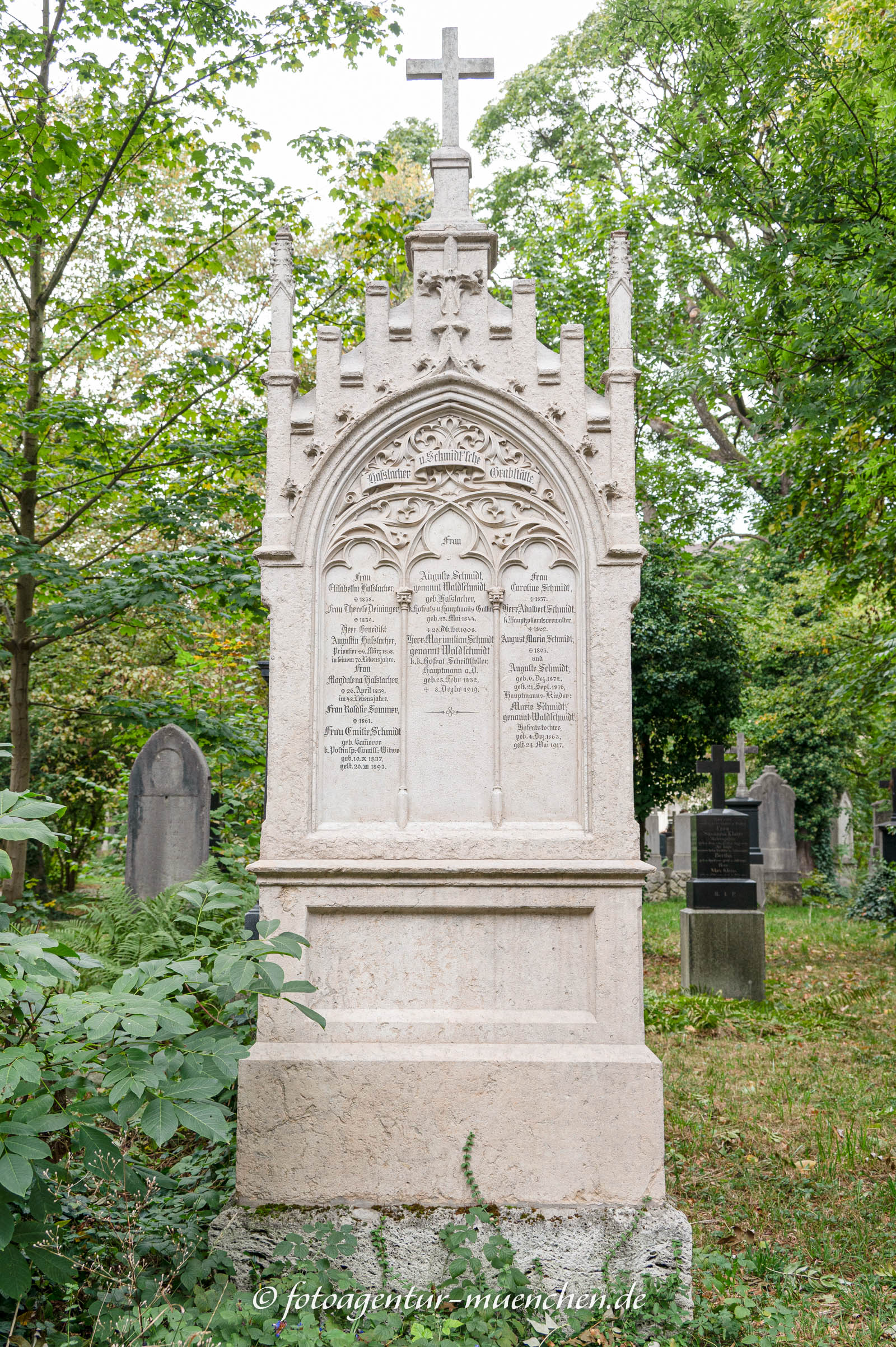 Maximilian Waldschmidt