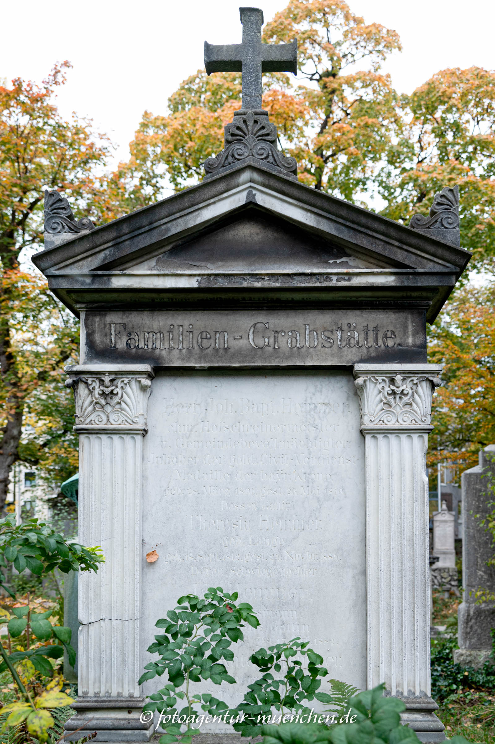 Hans von Hemmer