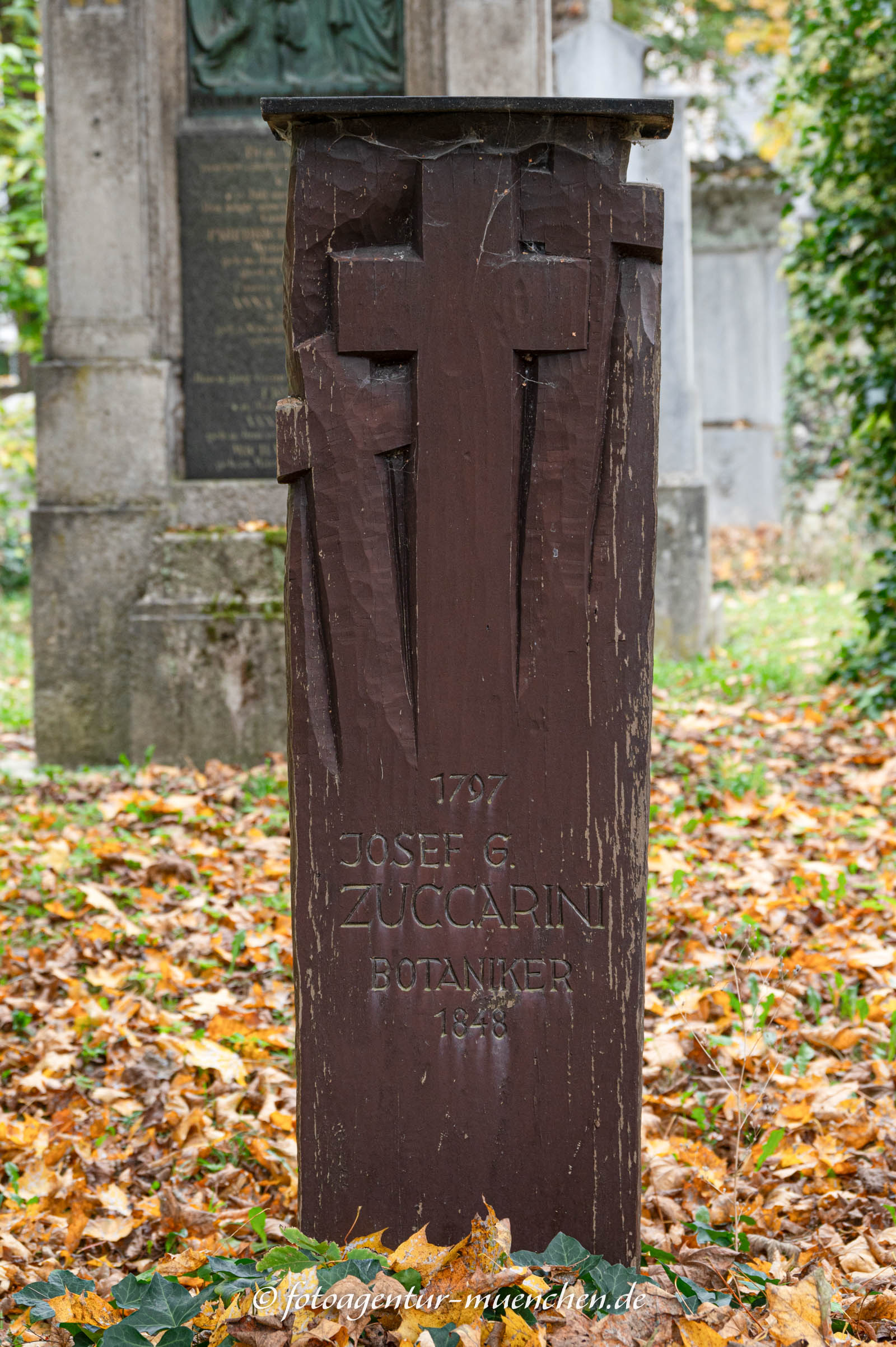 Joseph Gerhard Zuccarini