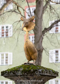 Gerhard Willhalm – Haubentauscher