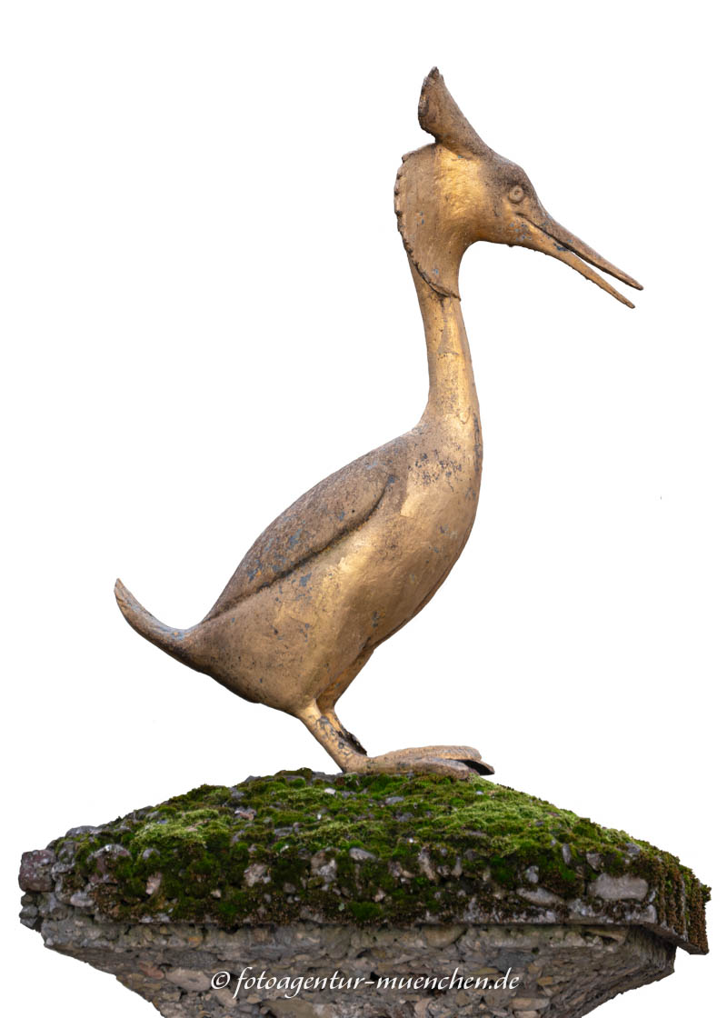 Haubentauscher