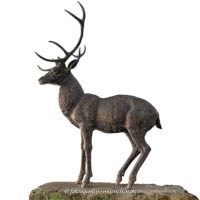 Pezold Georg - Elch und Hirsch