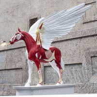 Hirst Damien - Legend