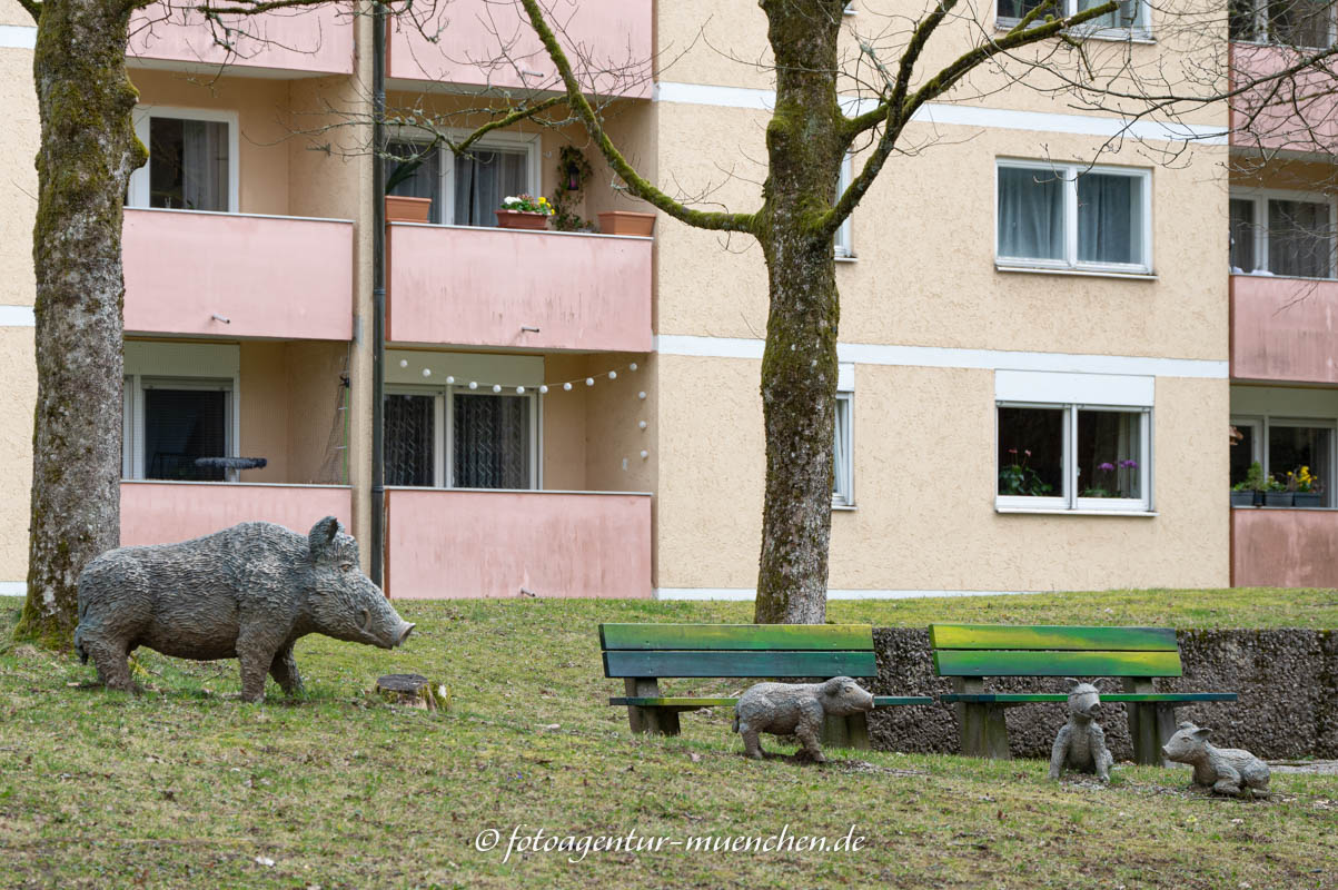Wildscheine