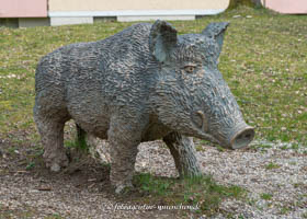 Gerhard Willhalm – Wildschwein