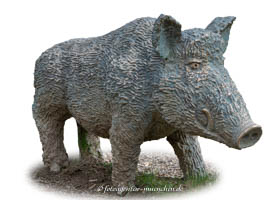 Gerhard Willhalm – Wildschwein