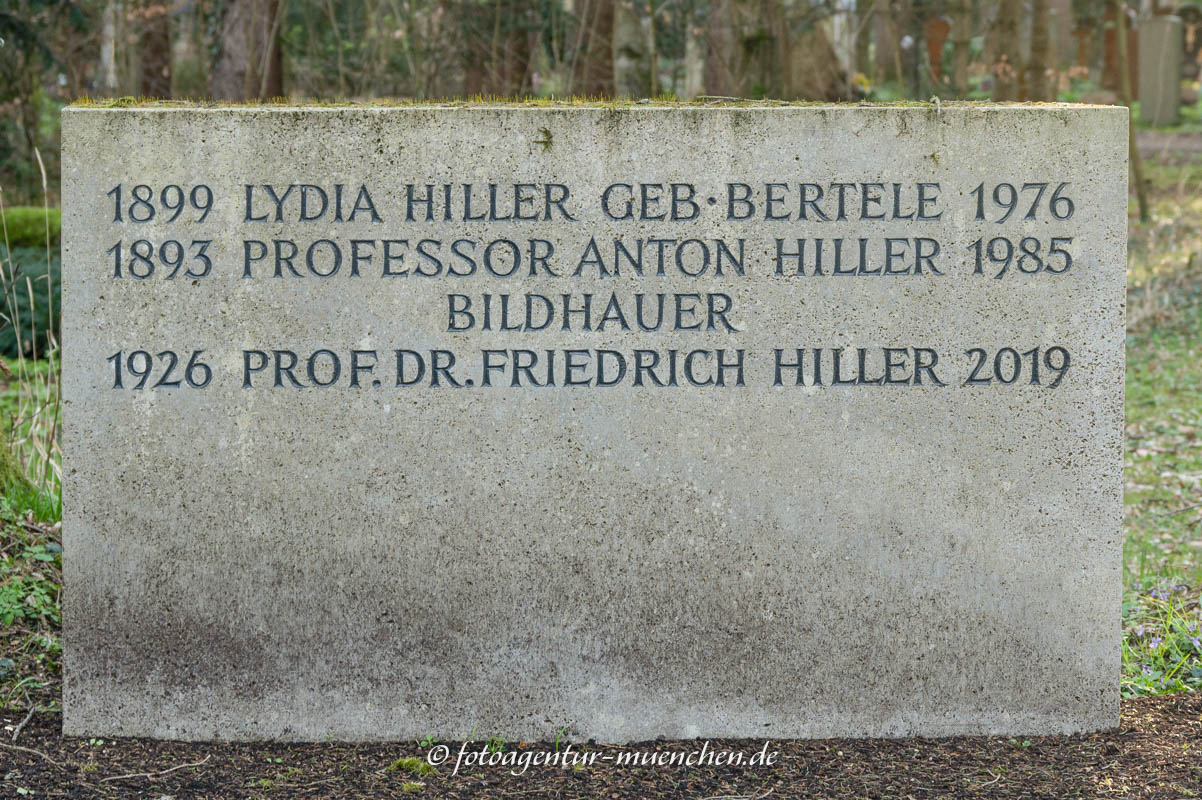 Hiller Anton