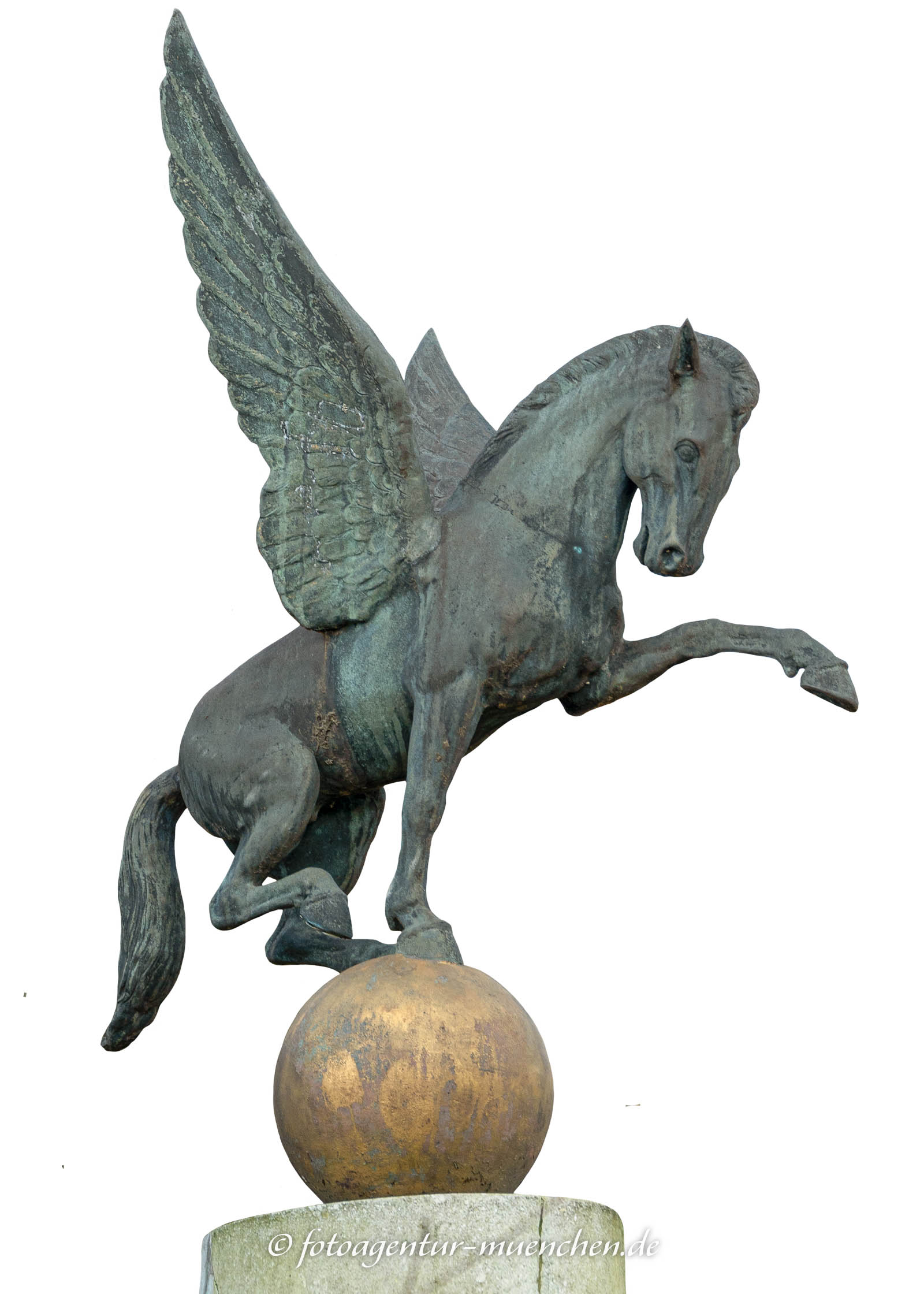 Pegasus