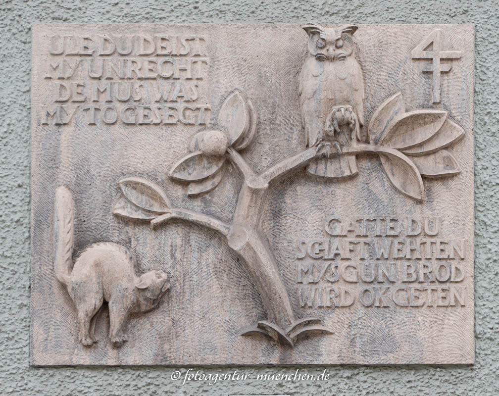 Katze und Eule