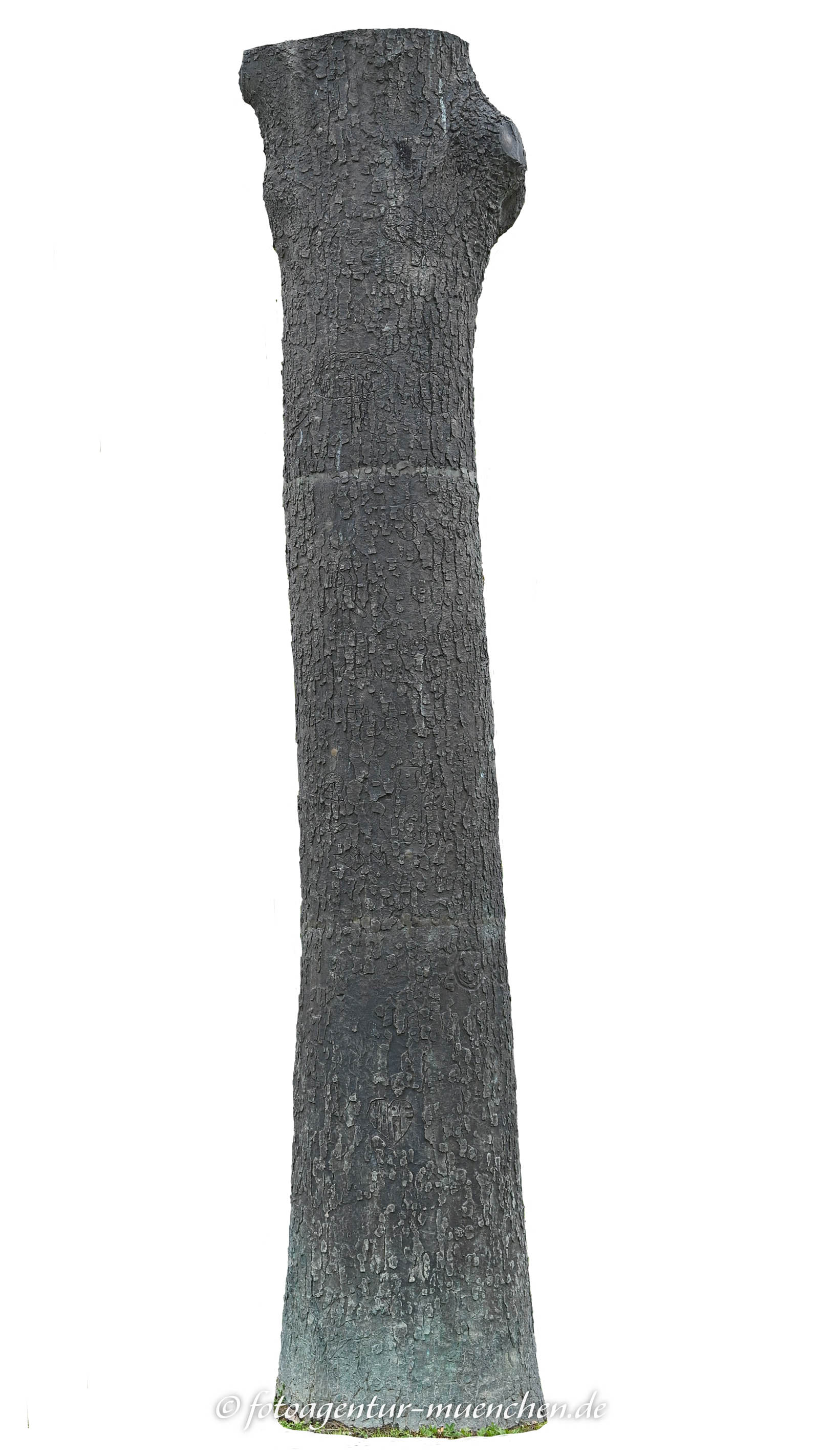 Es war einmal ein Baum
