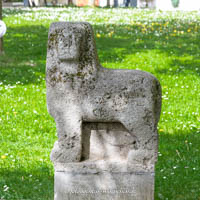 Löwe