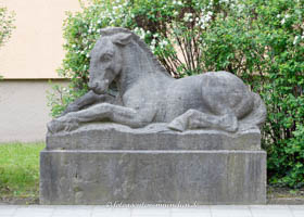 Wrede Christian - Fohlen