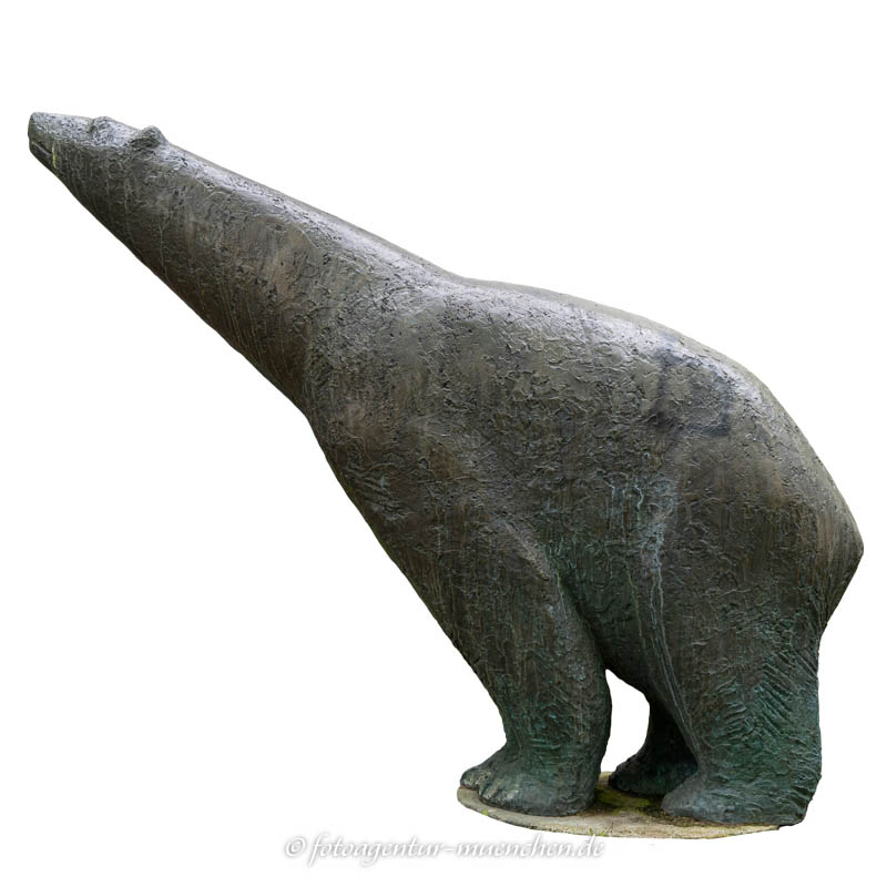 Eisbär