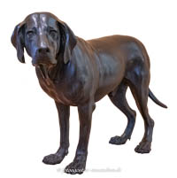 Gerhard Willhalm – Jagdhund