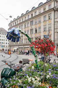 Biodiversität – Foto aus München