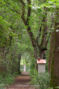  - Kreuzweg - Berg am Laim