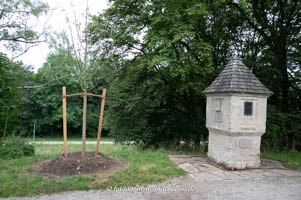 Gerhard Willhalm – Korbiniansapfelbaum