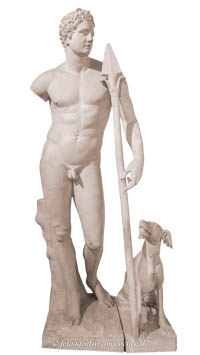 Gerhard Willhalm – Meleager